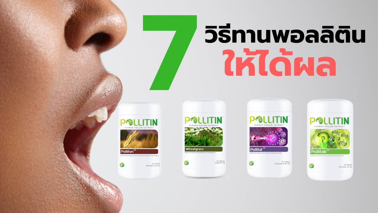 พอลลิติน pollitin
