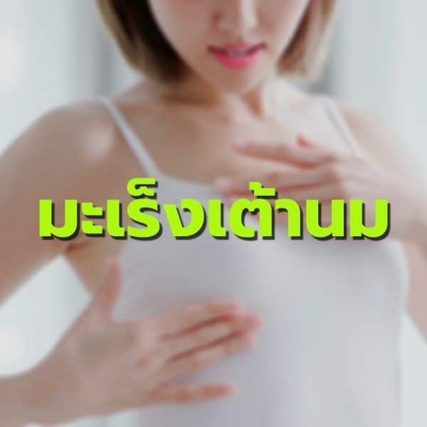 เจาะลึกพอลลิติน มะเร็งเต้านม
