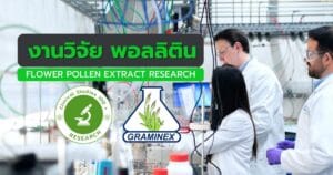 งานวิจัยพอลลิติน