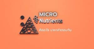ไมโครนิวเทรียนท์