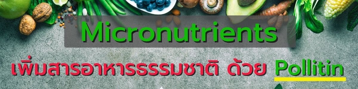 พอลลิติน สารอาหารไมโครนิวเทรียนท์