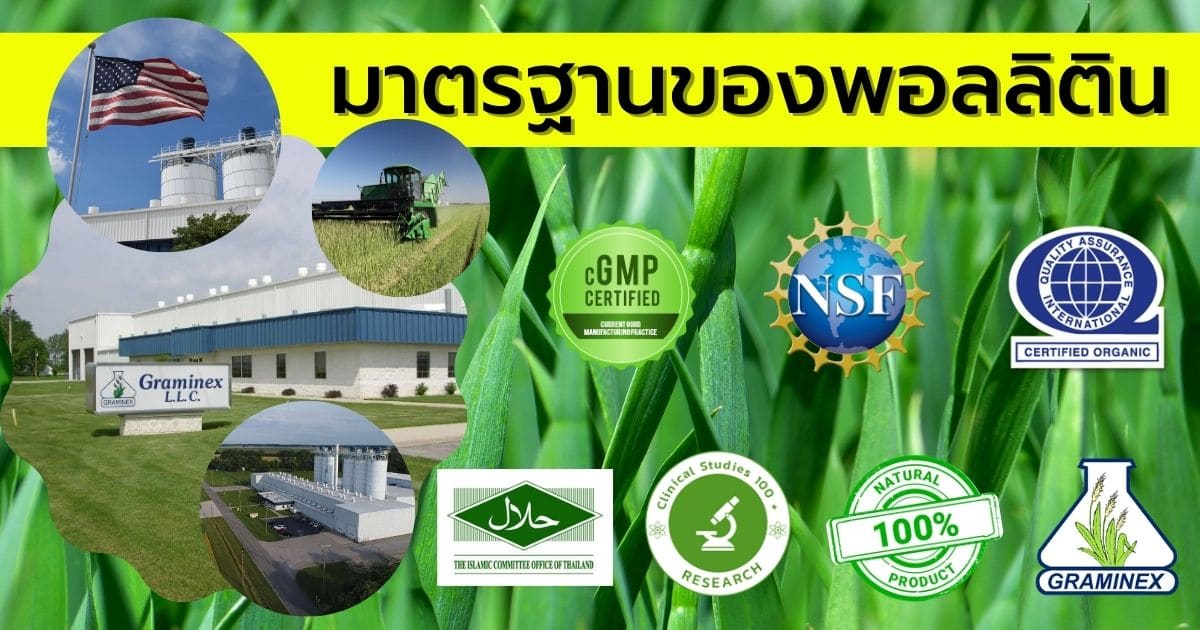 มาตรฐาน พอลลิติน