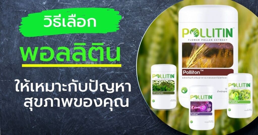 วิธีเลือกพอลลิติน