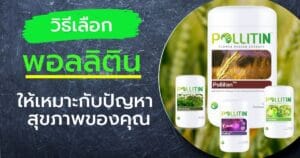วิธีเลือกพอลลิติน