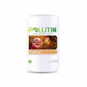 พอลลิแคน pollican