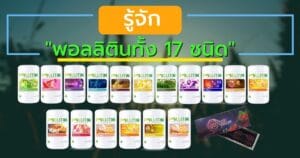 พอลลิติน 17 ชนิด