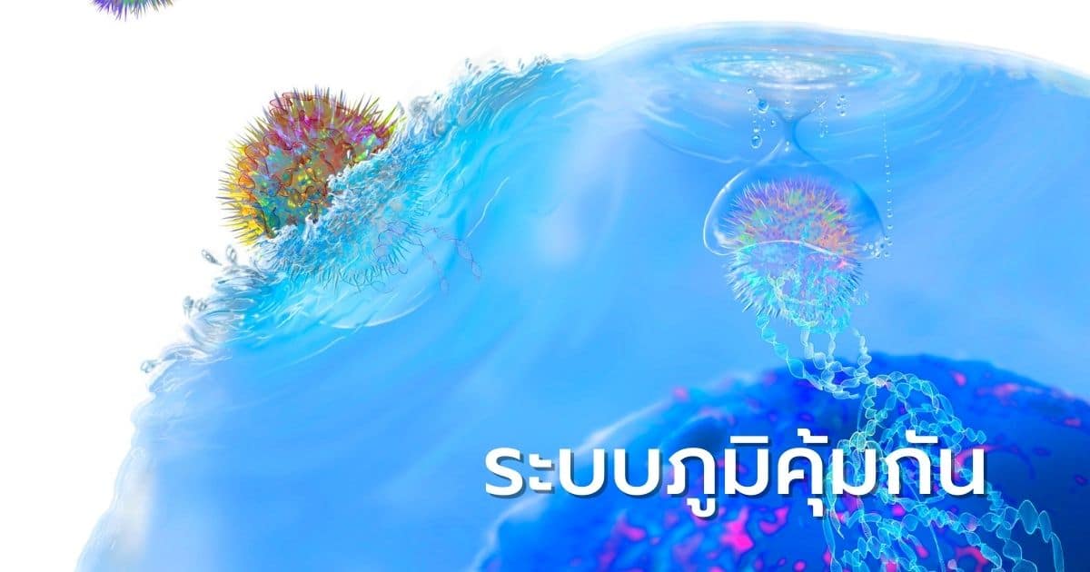 ระบบภูมิคุ้มกัน