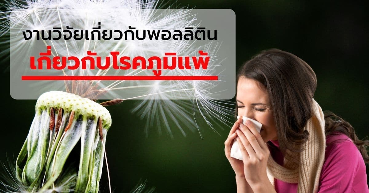 งานวิจัยพอลลิตินเกี่ยวกับภูมิแพ้