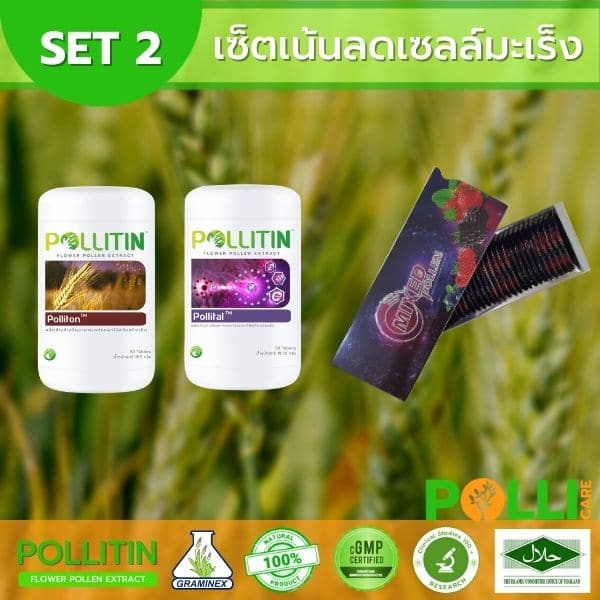 เซ็ตพอลลิตินมะเร็ง2