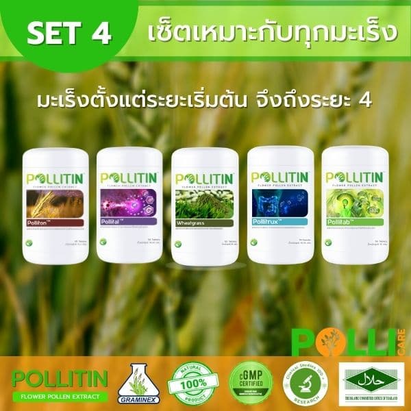 เซ็ตพอลลิตินมะเร็ง4