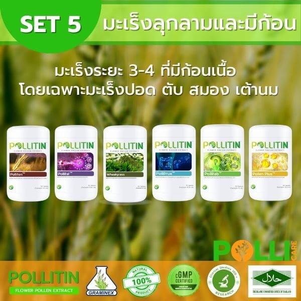 เซ็ตพอลลิตินมะเร็ง5