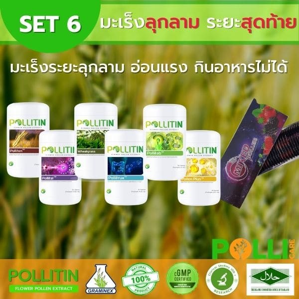 เซ็ตมะเร็งพอลลิติน6